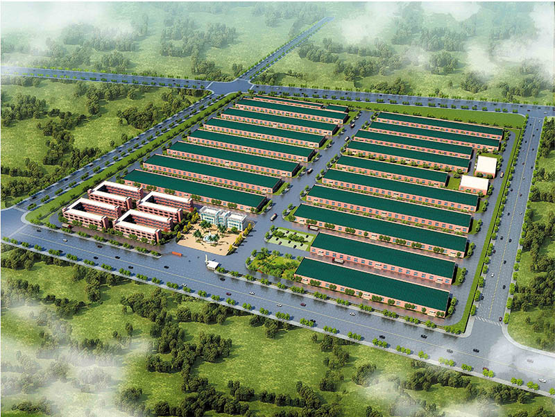 达利园食品 达利园食品